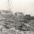 1963-04-28 vandalové v Riegrově ul. 06